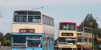 熱狗巴移民澳洲樂悠遊