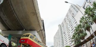 大水牛回到彩虹