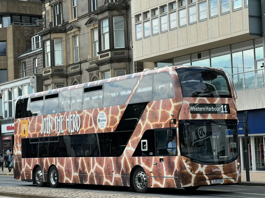 Lothian Volvo B8L / ADL Enviro400XLB / SJ19OZD 曾配上不同車身塗裝，包括愛丁堡動物園長頸鹿 （攝影：Alan Wong）